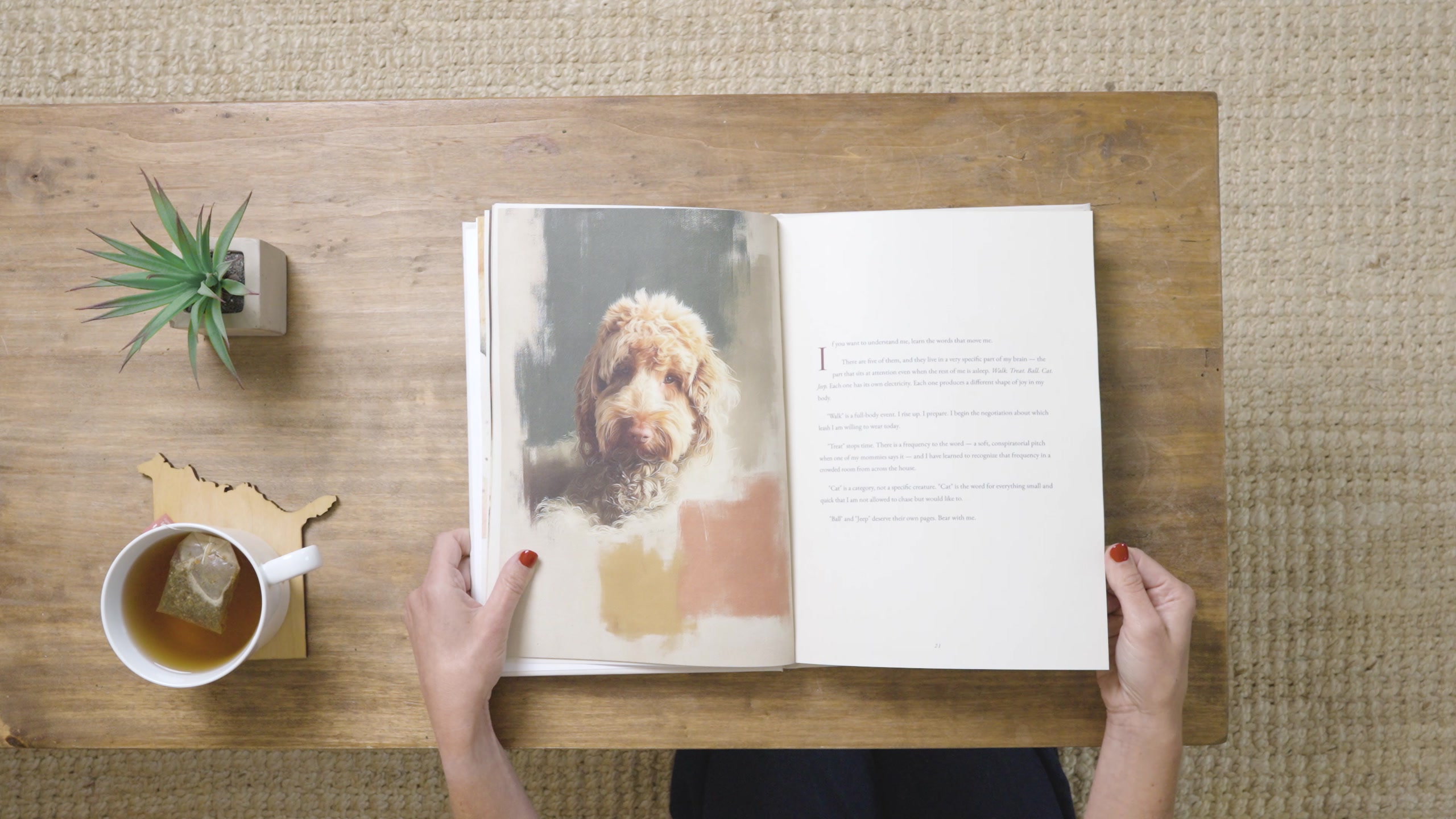 A Rowen Hollow book open on a table, a dog portrait across one page